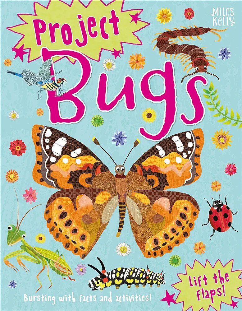 Project Bugs